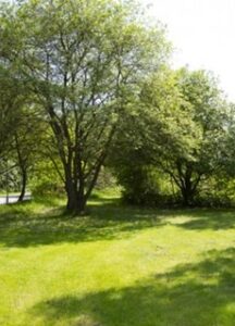 Hostrupvænget 90 - 217 park område