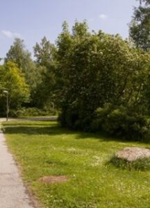 Hostrupvænget 90 - 217 park område